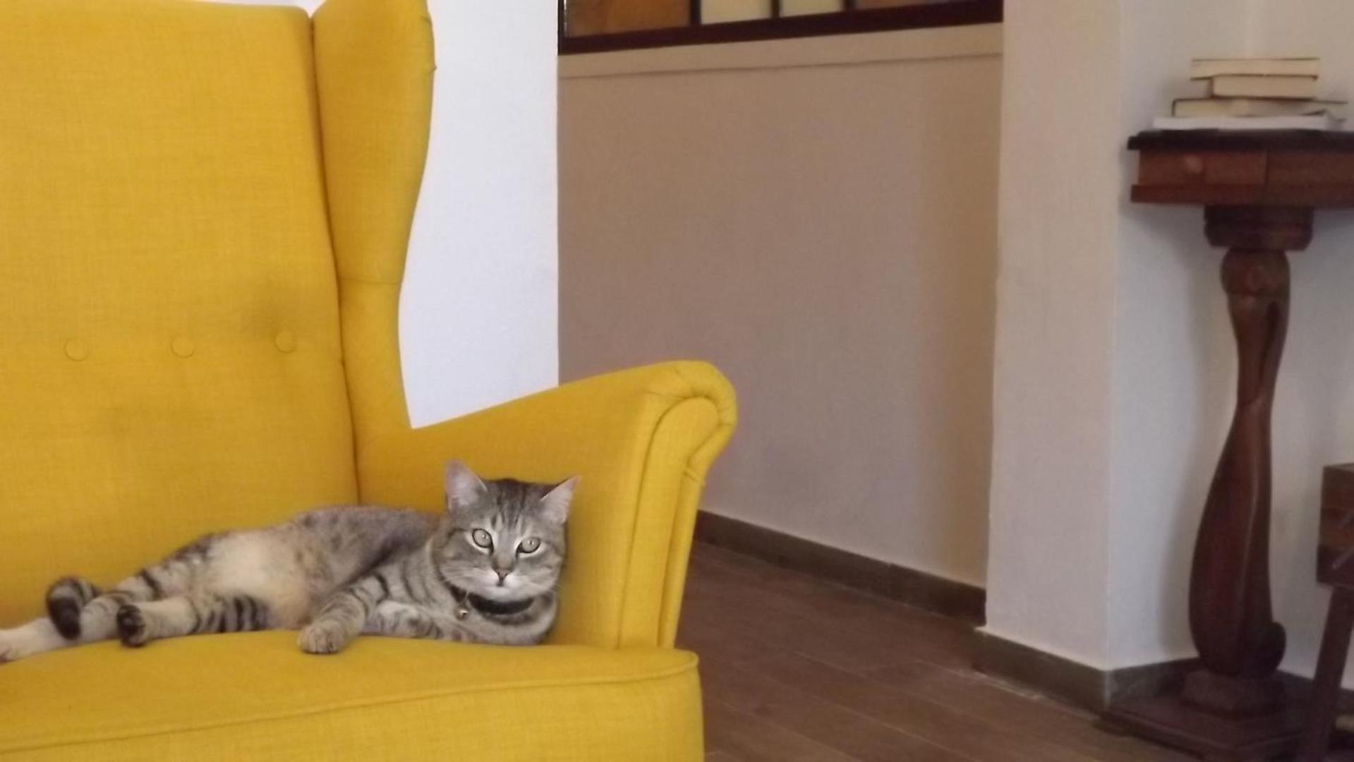 Beb Nonno Baffo Panzió Avola Kültér fotó