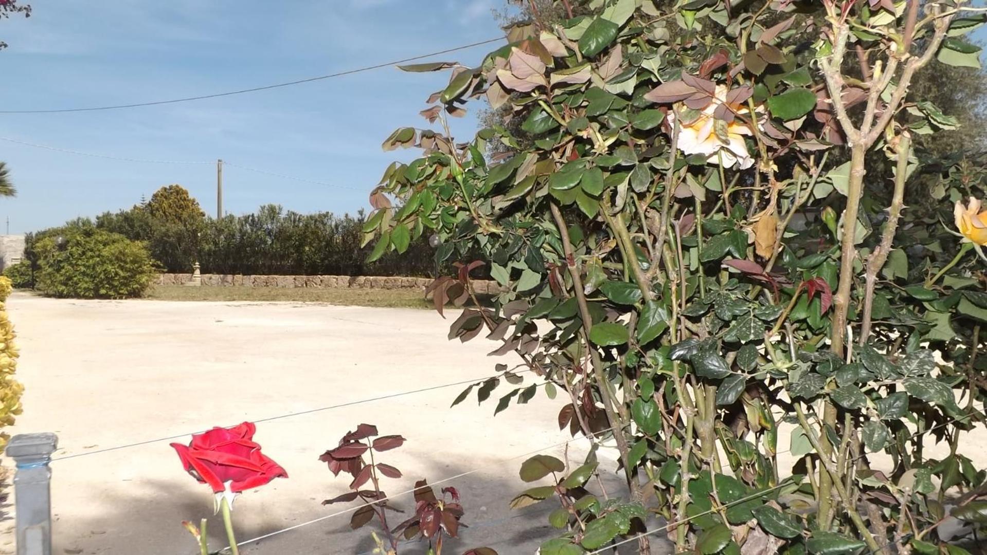 Beb Nonno Baffo Panzió Avola Kültér fotó