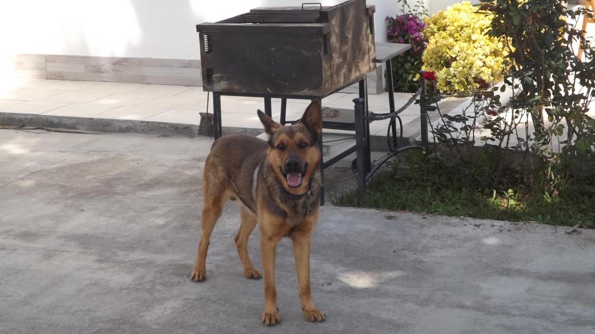 Beb Nonno Baffo Panzió Avola Kültér fotó