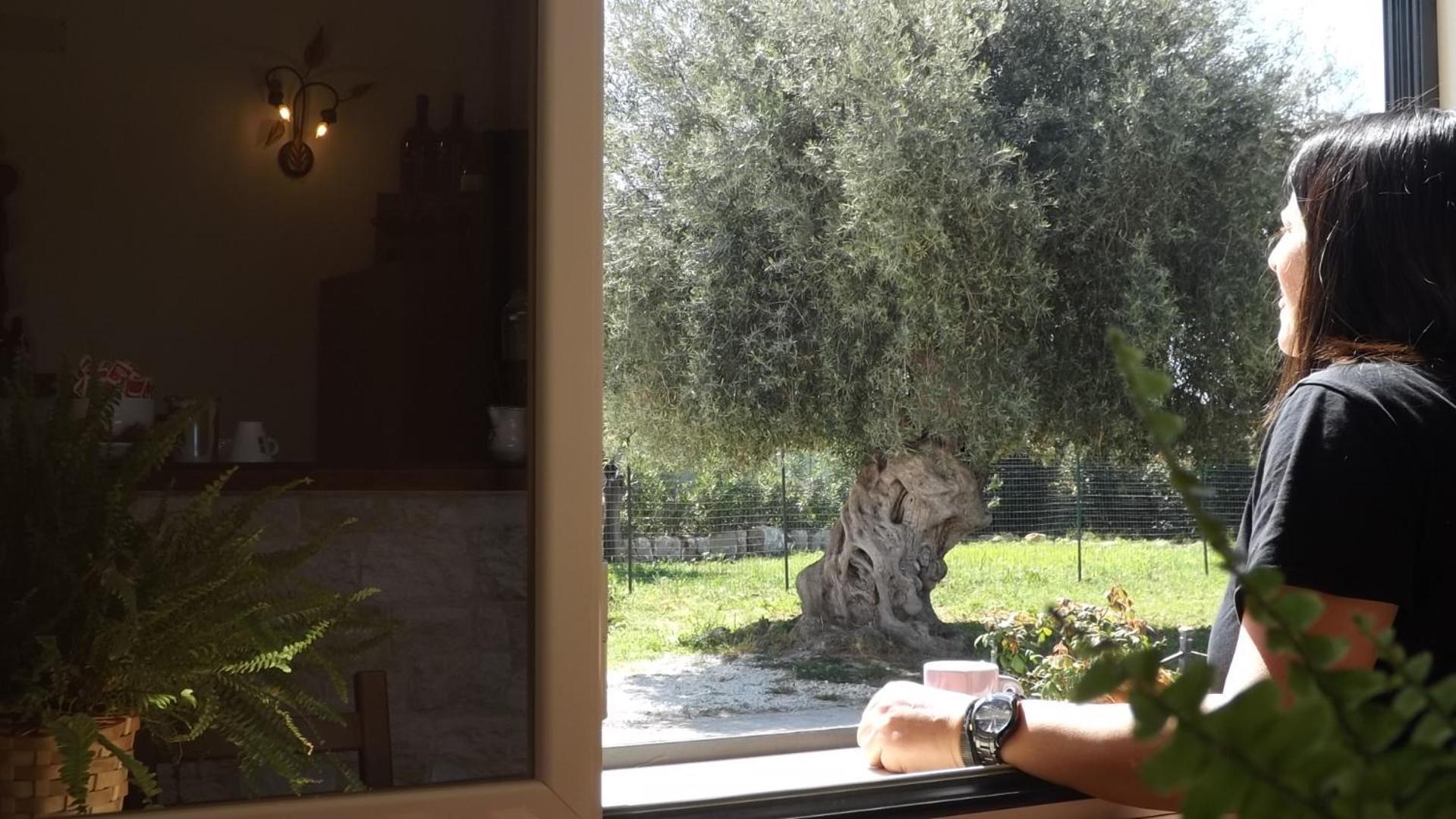 Beb Nonno Baffo Panzió Avola Kültér fotó